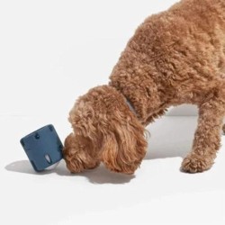 Kreatives interaktives Kauspielzeug für Hunde, Welpentrainingsspielzeug, Quietschspielzeug für Hunde, Tennis, Tumble-Puzzle-S