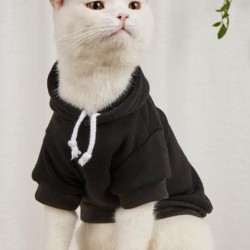Strapazierfähige Bündchen mit Gewinde, mild zur Haut, Haustier-Pullover, lässige Hunde mit Kapuze für den Herbst S rot