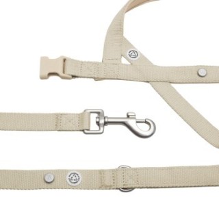 Barkalot Hundegeschirr-Spazierset beige L