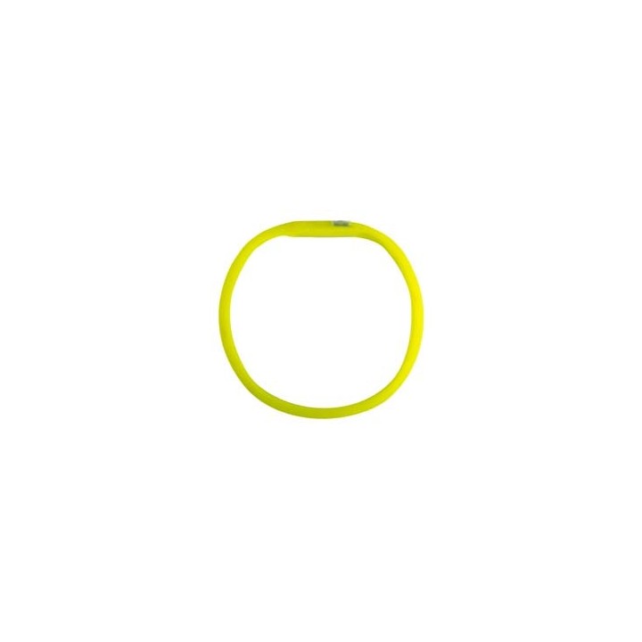 TRIXIE Hunde-Leuchthalsband Flash grün, Gr. M-L, Breite: ca. 17 mm, Länge: ca. 50 cm