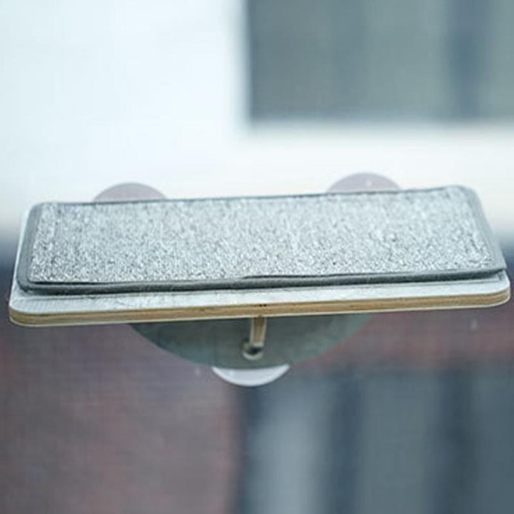 Glas Wand Katze Klettern Regal Große Last Lager Verhindern Slip Geruchlos Saugnapf Fenster Katze