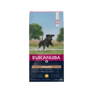 Eukanuba Developing Junior Large Breed Hundefutter - 12 kg
