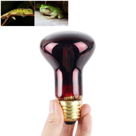 60W Infrarot-Wärmelampe, Rotlicht-Glas-Wärmelampe für Eidechsen, Reptilien und Amphibien rot