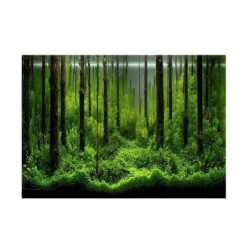 PVC-Kleber Unterwasser Wald Tank Hintergrund Poster Hintergrund Dekoration Papier (61*41cm)