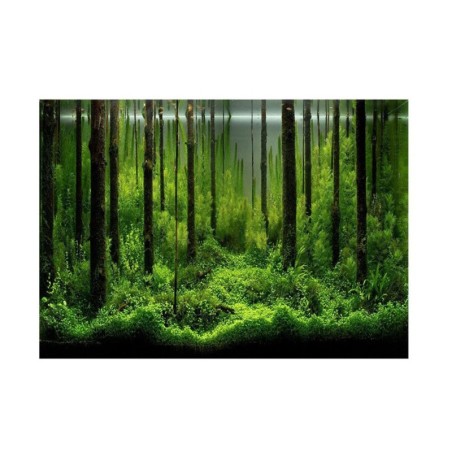 PVC-Kleber Unterwasser Wald Tank Hintergrund Poster Hintergrund Dekoration Papier (61*41cm)