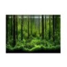 PVC-Kleber Unterwasser Wald Tank Hintergrund Poster Hintergrund Dekoration Papier (61*41cm)