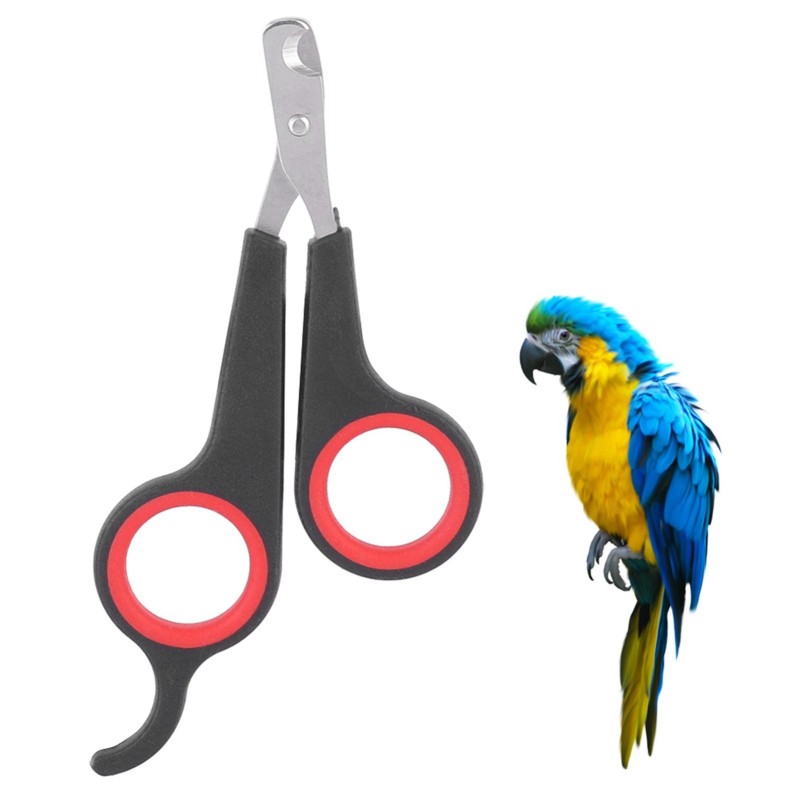 Haustier Vogel Papagei Kleine Tiere Zubehör Pflege Werkzeug Nagel Schere Clipper Schwarz und Rot