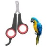 Haustier Vogel Papagei Kleine Tiere Zubehör Pflege Werkzeug Nagel Schere Clipper Schwarz und Rot