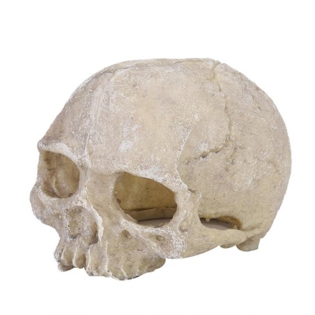 Harzkopf-Knochen-Schädel-Statue für Eidechsen, Schlangen, Spinnen, Skorpion, Höhle, Aquarium, Landschaftsbau