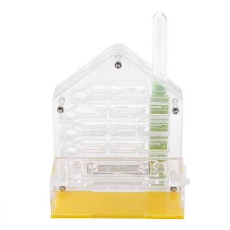 Acryl Ameisennest Villa Farmhaus Formicarium zur Ameisenfütterung
