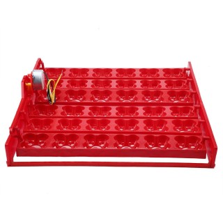 36 Eier/144 Vogeleier Inkubator Hatcher Automatisches Eierwendetablett-Werkzeug (110-V-Motor)