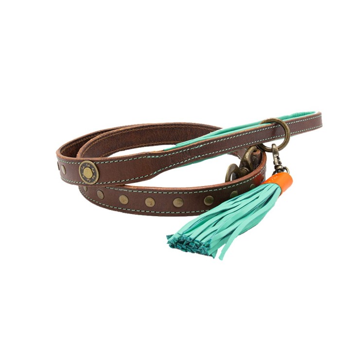 DWAM Hundeleine Joe - S