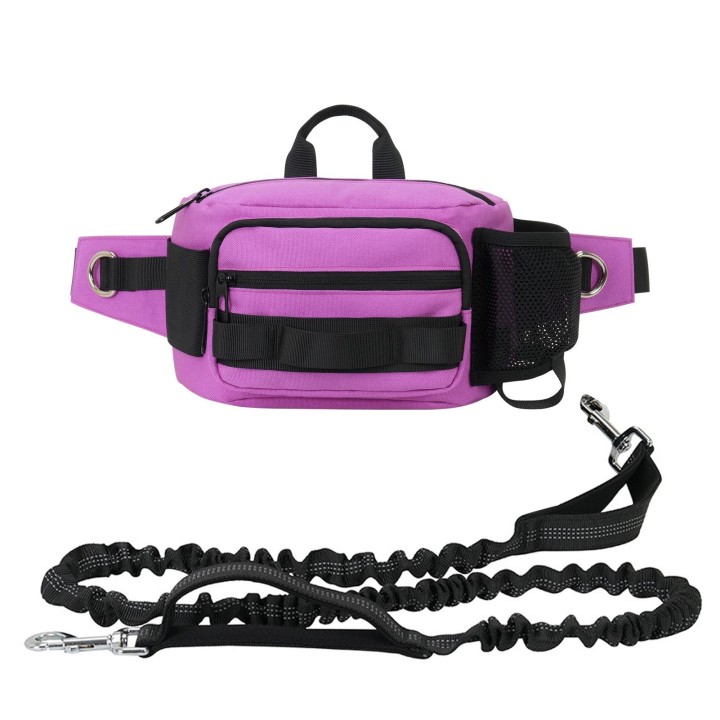 Freihändige Hundeleine, einziehbare Bungee-Leine mit Gürteltasche für das Hundetraining und Spaziergänge schwarz