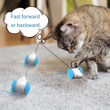Interaktives Katzenspielzeug, intelligente elektrische Maus, interaktives Katzenspielzeug, bunt, für die meisten Katzen und K