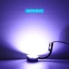 Kleines Aquarium-LED-Licht, USB, hohe Helligkeit, energiesparendes Aquarium-Pflanzenlicht US Plug schwarz