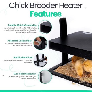 Hühnerbrüter-Heizung, 12 x 12 Zoll, Geflügel-Heizplatte für 15 Küken, Wärmer mit Konstante EU Plug schwarz