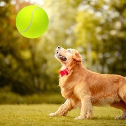 2 stücke 9,5 Zoll Übergröße Riesen Tennisbälle Aufblasbare Tennisball Hundespielzeug Bälle Für Unterschrift Ball & Pump grün
