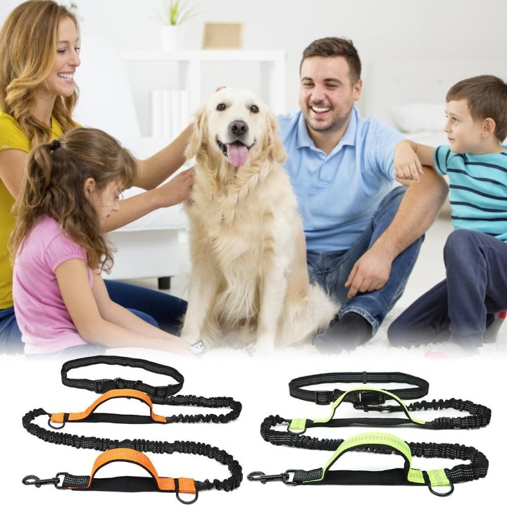 Haustierleine, Outdoor-Lauf, reflektierend, doppelt einziehbare Hundeleine, Hundekette, Leine, Heimtierbedarf see-blaue