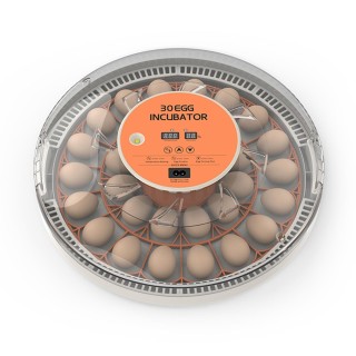 Brutkasten für 30 Eier mit automatischer Eierwende, Feuchtigkeitskontrolle, Temperaturanzeige und Eierdurchleuchtung US