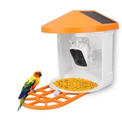 Vogelbeobachtungskamera, solarbetrieben, Nachtsicht, 1080P, kabellos, intelligenter Vogelfutterspender orange