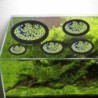 5-teiliges schwimmendes Pflanzengehege für Aquarien, um Pflanzen an Ort und Stelle zu halten schwarz