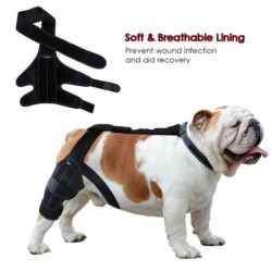 Aktualisierter Schutzverband für Hundearthritis, Schutzabdeckung für Hundebeine, Sprunggelenkorthese für Hunde, Knieschützer