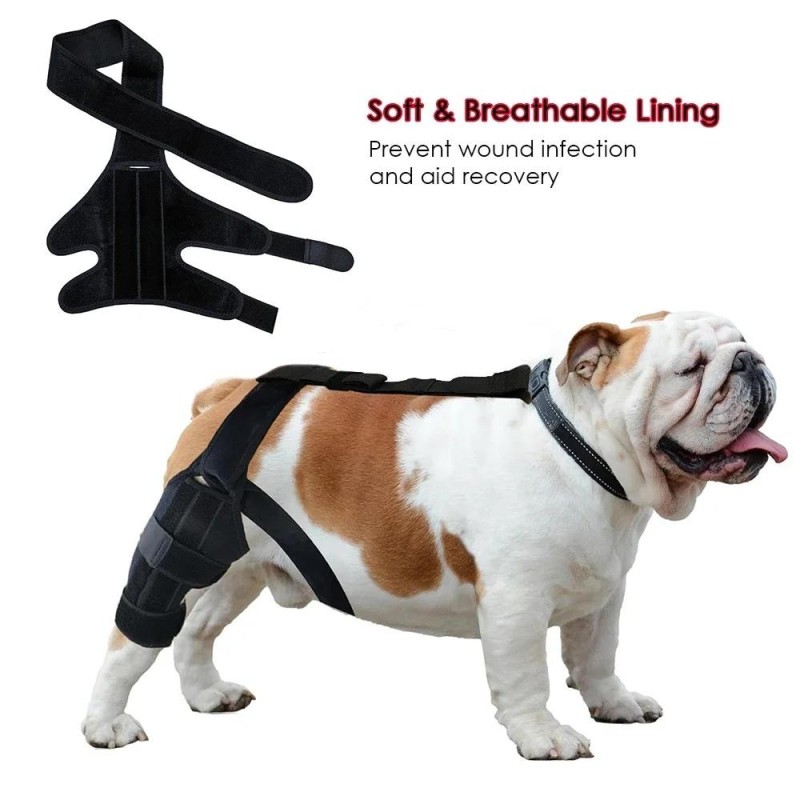 Aktualisierter Schutzverband für Hundearthritis, Schutzabdeckung für Hundebeine, Sprunggelenkorthese für Hunde, Knieschützer