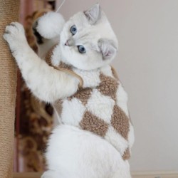 Modische karierte Fleece-Katzenkleidung, Katzenmantel, Jacke, süße Bärenweste für Kätzchen, kleine Hunde, Kleidung, Haustier-