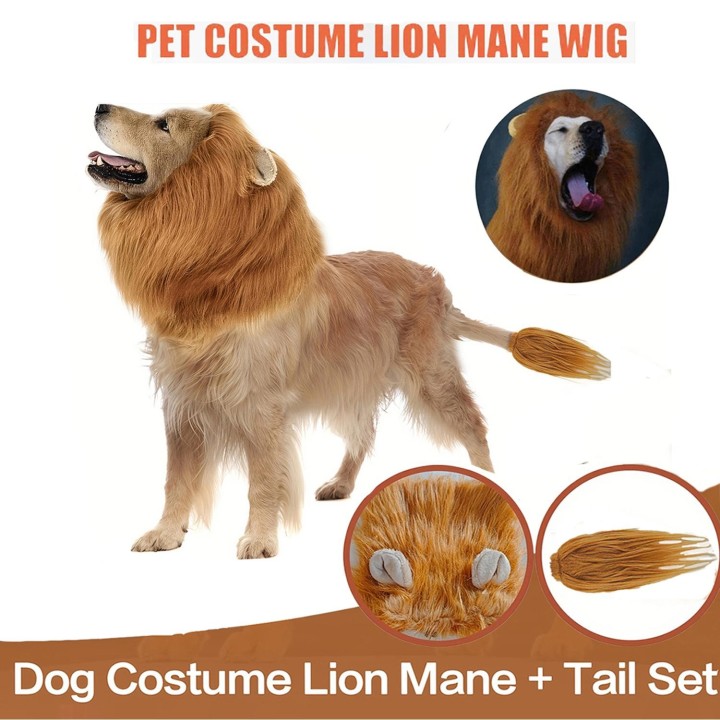 Niedliche Cosplay-Kleidung für Haustiere, realistisches Hundekostüm mit Löwenmähne und Schwanz-Set für mittelgroße und große