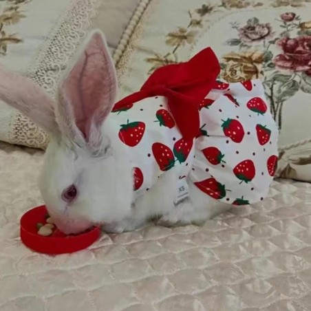 Niedlicher Aufdruck Kaninchen-Kleidung Sommer Haustierkleider mit Schleife für Katzen Kaninchen Kleintiere Kleidung Outfit Hä