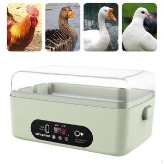 Hühnerei-Inkubator, Enten-Digital-Vogel-Inkubator 4 Egg Manual Turning