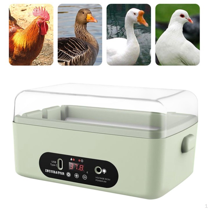 Hühnerei-Inkubator, Enten-Digital-Vogel-Inkubator 4 Egg Manual Turning