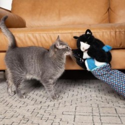 1 Stück/2 Stück Katzenpuppen-Wrestler-Spielzeug, interaktive Stofftier-Handpuppe mit robuster Polsterung für sicheres Spielen
