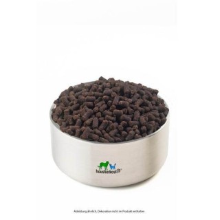 Trainies Wild & Reis