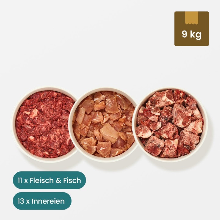 Paket Katze Übergewicht (Inhalt 9 kg)