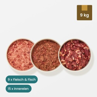 Paket Katze Kitten (Inhalt 9 kg)