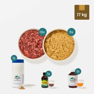 Starterset Hund ausgewachsen