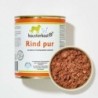 Pferd pur