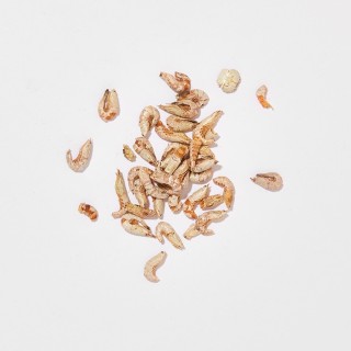 Nordseekrabben gefriergetrocknet, 60 g