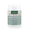 AniForte® Grünlippmuschel Pulver 100 g