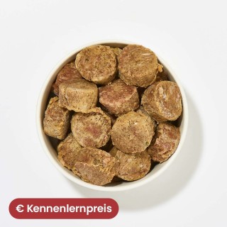 All-in-One Nuggets Pferd