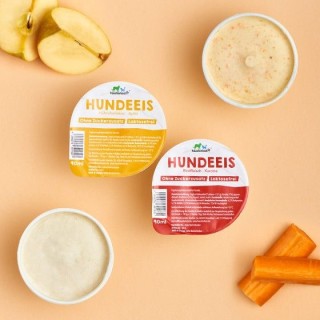 Hundeeis Rind & Huhn (2x2 Stk.)