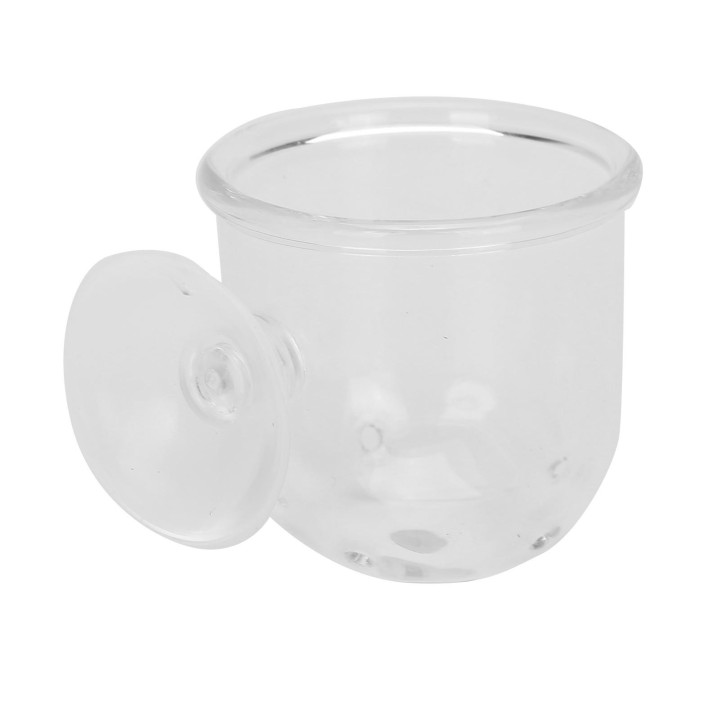Kleine Kristallglas-Futterschale für Pflanzen, Fische, rote Würmer, Futterschalen für Aquarien(L) Large