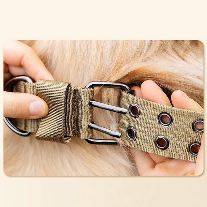 NYLON-Hundehalsband, Nackenschutz, weiches Innenfutter, atmungsaktiv, verstellbares Nylon-Hundehalsband mit Metall-D-Ring-Sch