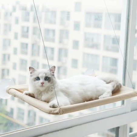 Hamac de Fenêtre Chat, Chaiselongue de Fenêtre pour Chat, Chat de Rebord de Fenêtre Transparent, maximale Ladekapazität 20 kg
