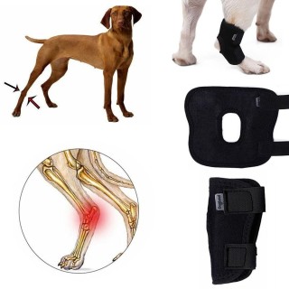 Cover Wrap Schmerzlinderung Hunde Verletzung Genesung Haustier Knieschützer Hunde Sprunggelenksstütze Hundebeinstütze XL