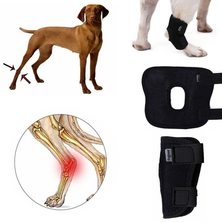Cover Wrap Schmerzlinderung Hunde Verletzung Genesung Haustier Knieschützer Hunde Sprunggelenksstütze Hundebeinstütze XL