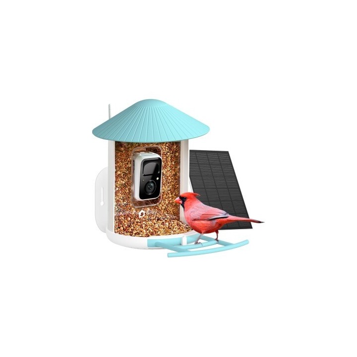 BIRDFY Futtersation AI im Abonnement + Solarpanel
