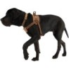 Carhartt Training Hundegeschirr