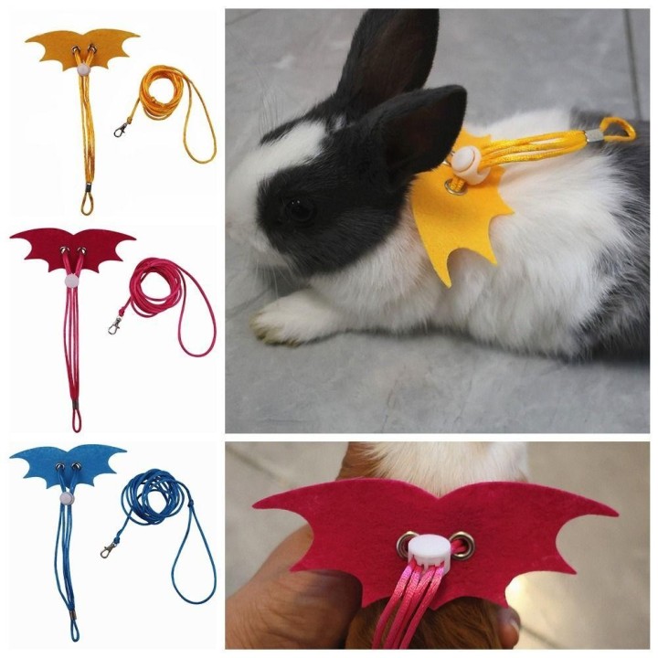 Adjustable Pet Rope Solid color Pet Chest Strap Cute Traction Rope  Junior gelb